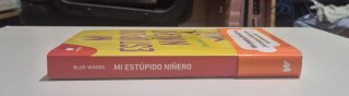 Mi estúpido niñero