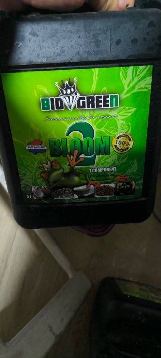 BioGreen Bloom 2 Fertilizante 5L