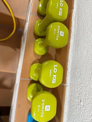Lote 6 Mancuernas Decathlon 1kg y 1,5kg