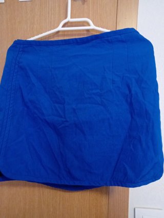 Falda Zara azul