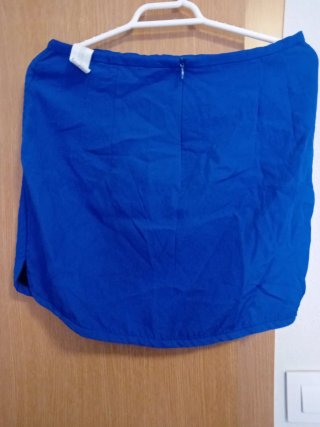 Falda Zara azul
