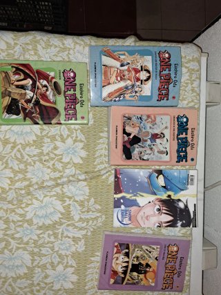 Libros de one piece
