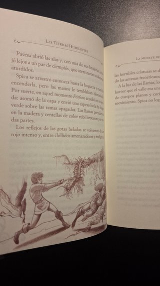 El bosque embrujado
