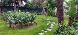 Mantenimiento y Limpieza Jardinería