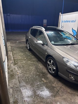 Peugeot 407 2006