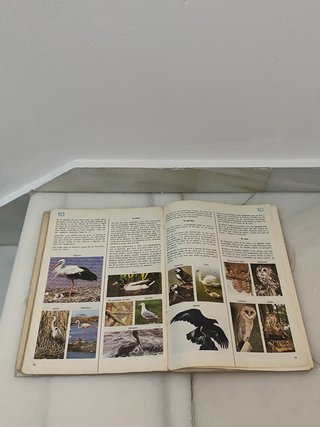 Libro texto Ciencias de la Naturaleza 6º de E.G.B.