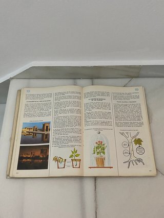 Libro texto Ciencias de la Naturaleza 6º de E.G.B.