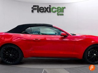 Ford Mustang 2.3 EcoBoost 231kW Mustang Aut. (Conv.)
