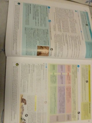 Lengua Castellana y Literatura, 4 ESO, Código a...