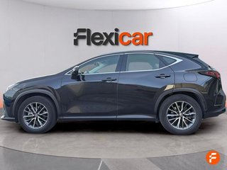 Lexus NX 350h Business 2WD