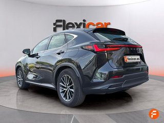 Lexus NX 350h Business 2WD