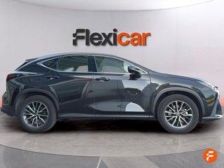 Lexus NX 350h Business 2WD