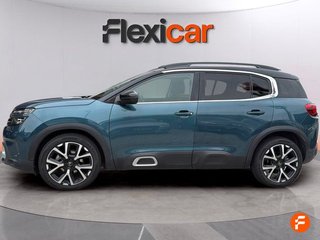 Citroën C5 Aircross BlueHdi 132kW (180CV) S&S EAT8 Shine