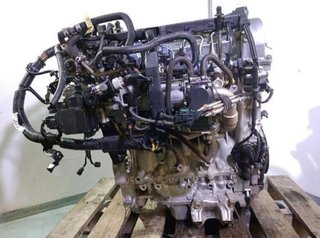 Honda rectp5179890 n22b1 motor completo accord 2.2