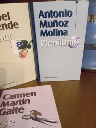 Lote de libros. Paula, Plenilunio,irse de casa,alt