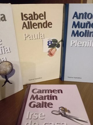 Lote de libros. Paula, Plenilunio,irse de casa,alt