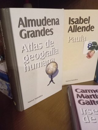 Lote de libros. Paula, Plenilunio,irse de casa,alt