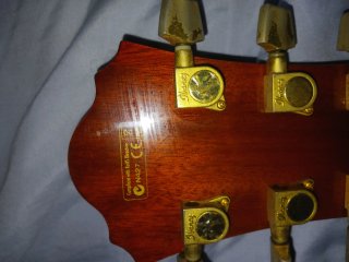 Guitarra Ibanez AEL20EVV Electroacústica
