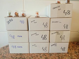 10  ultimas Cajas Miniaturas Madera 2cm