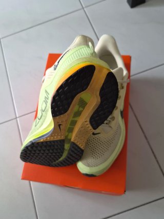 Nike Pegasus Premium Volt Ice/Black Spruce