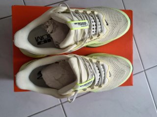 Nike Pegasus Premium Volt Ice/Black Spruce