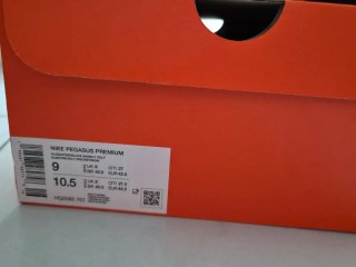 Nike Pegasus Premium Volt Ice/Black Spruce