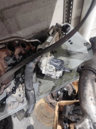 Motor Kia Sportage Hyundai D4FD