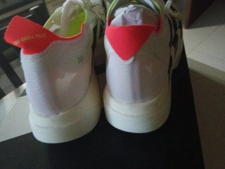 Adidas Adizero Adios Pro 4 Zapatillas Running Tall