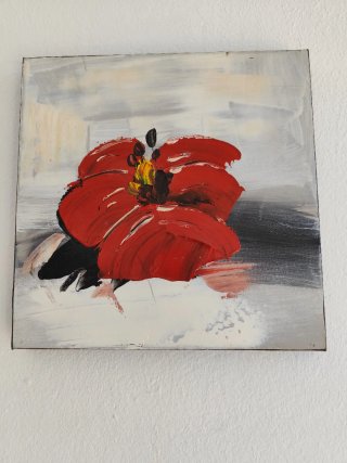 Lienzo cuadrado óleo amapola roja.