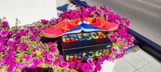 Zapatillas Munich Gresca Fútbol Sala