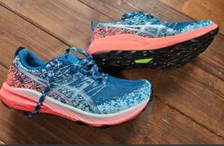 Asics Fuji Lite 40