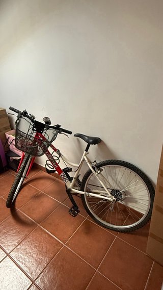 Bicicleta Top Trotter Roja con Cesta