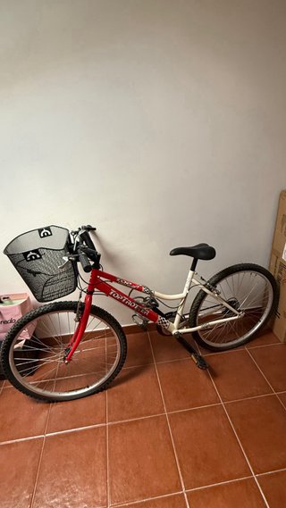 Bicicleta Top Trotter Roja con Cesta