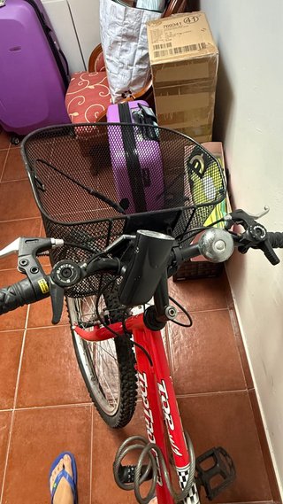 Bicicleta Top Trotter Roja con Cesta