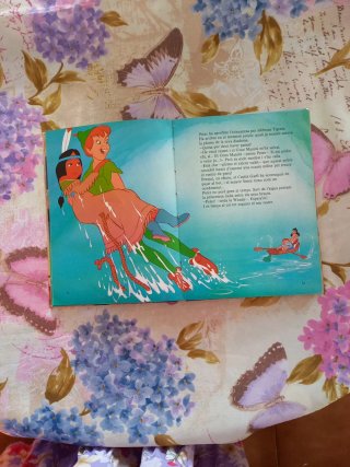 Cuento infantil Peter Pan Disney Idioma, catalán