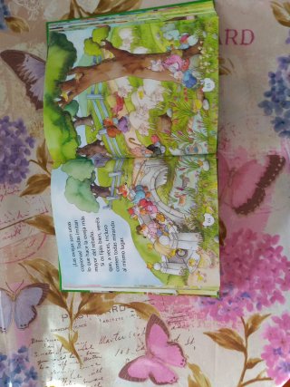 Libro infantil 20 historias de la Granja