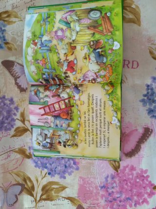 Libro infantil 20 històries de la Granja
