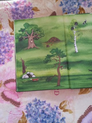 Cuento infantil