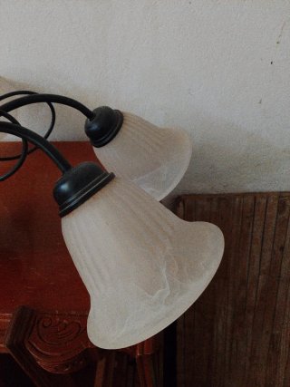 Lámpara de techo negra con tulipas