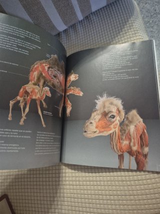 Body worlds - animal inside out