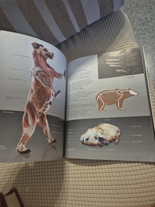 Body worlds - animal inside out
