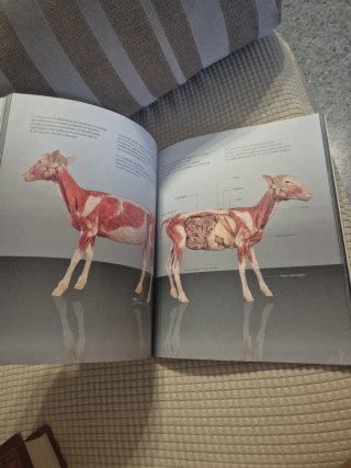 Body worlds - animal inside out