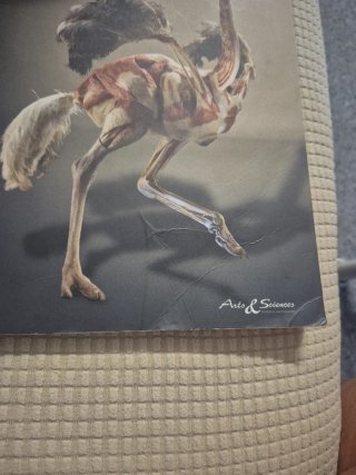 Body worlds - animal inside out