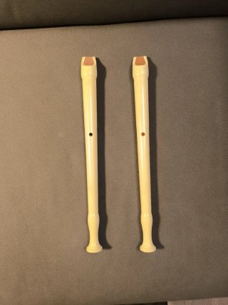 2 Flautas HOHNER