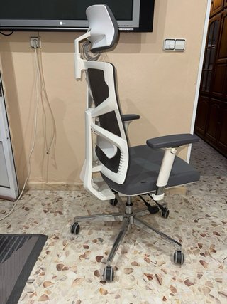 Silla de Oficina Ergonómica HOLLUDLE
