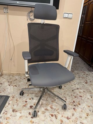 Silla de Oficina Ergonómica HOLLUDLE