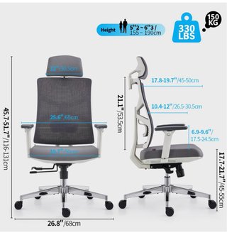 Silla de Oficina Ergonómica HOLLUDLE