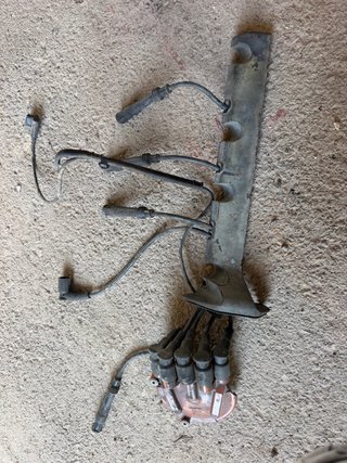 Cables de Bujías y Distribuidor