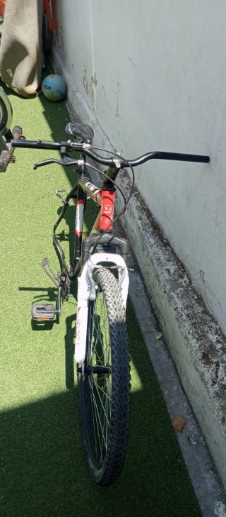 Bicicleta de montaña