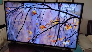 Televisión 50" TD SYSTEMS SMART TV con defecto
